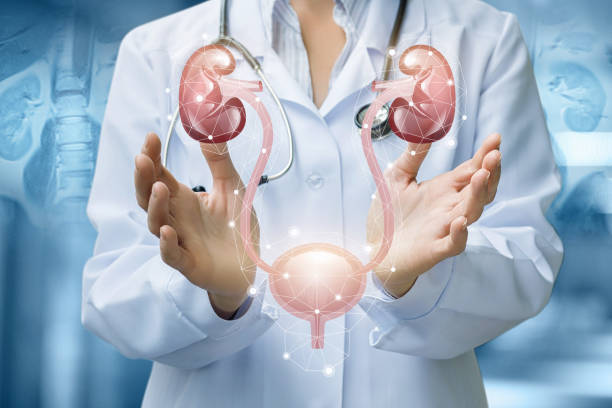 Understanding Common Urological Conditions and Their Treatments
